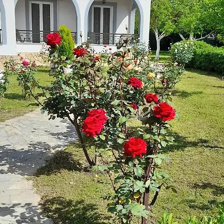Artemis & Apartment Sidari (Corfu)